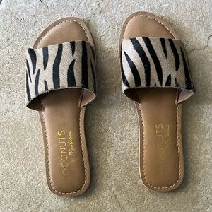 Coconuts by Matisse Flats